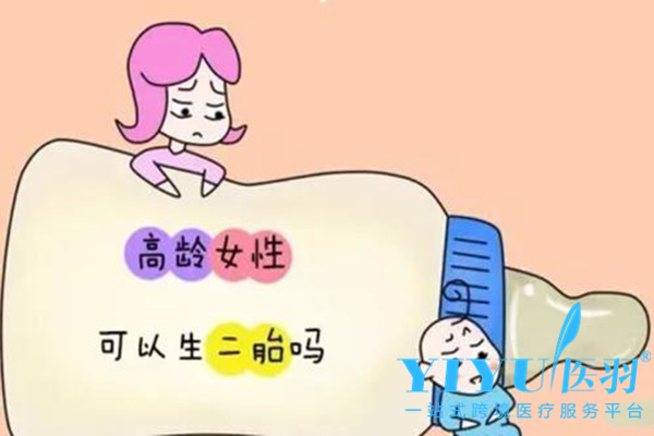 高龄女性做试管成功率怎么样
