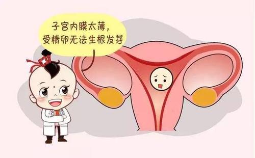 子宫内膜太薄导致受精卵无法着床