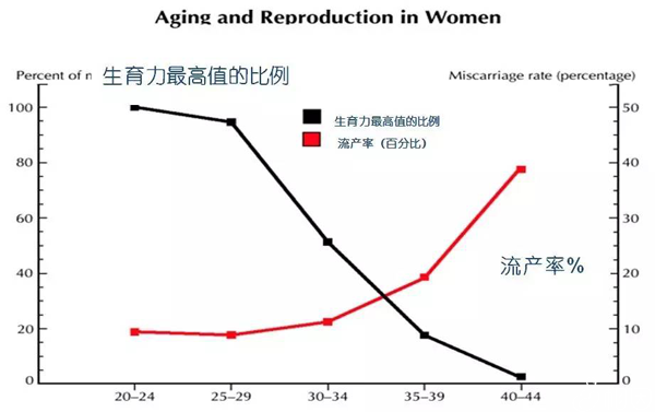 泰国试管出现胎心胎芽还会胎停？这4个高风险因素不可不防！