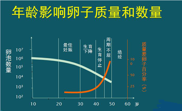 女性“奔四”生育真很难，“做试管要趁早”不是说说而已！